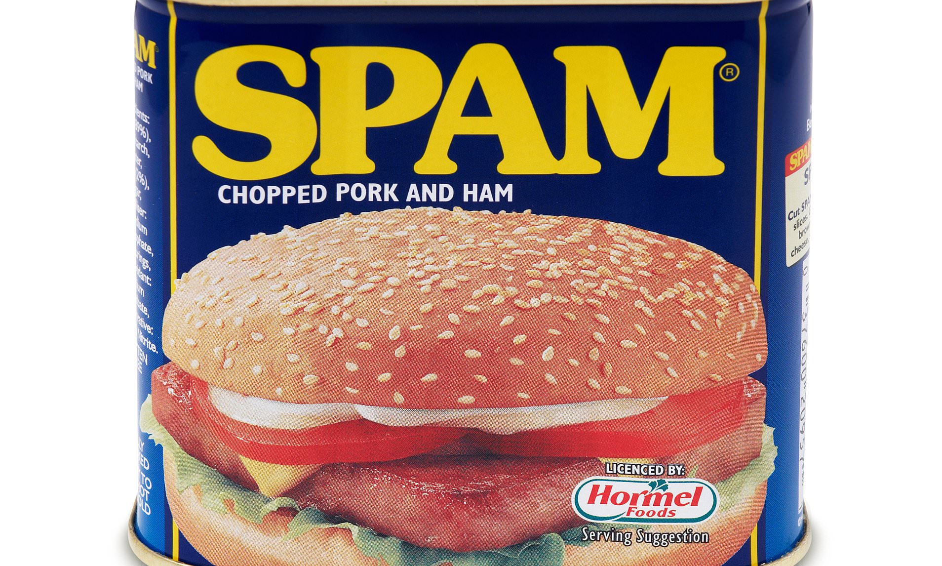 SalesForce.com web-to-lead: Filtering out SPAM